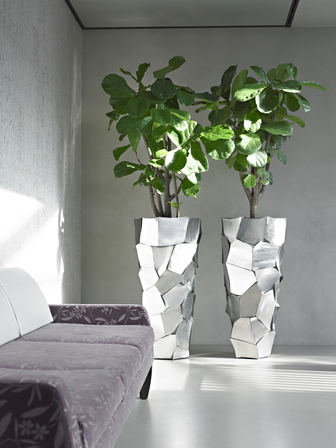 Reception Plants - Indoor Plant Displays for Your Entrance