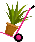 Plant Installation Icon