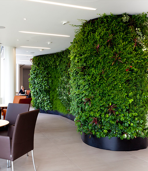 Living & Replica Plant Walls